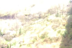 Pissing down the cheek of my arse