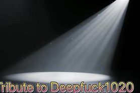 A Tribute To Deepfuck1020