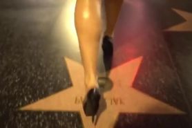 Basis Living with the Bull