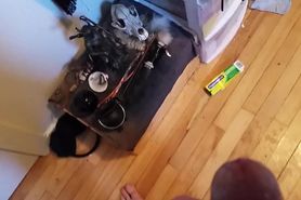 Piss on autistics bed