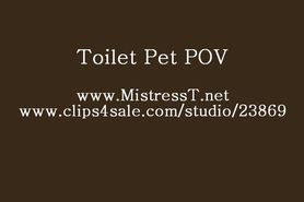 Mistress T Toilet Pet POV