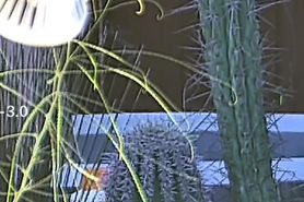 MILF Neighbor Hot Tub