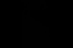 A couple of crazy sorts