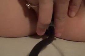 Little pet anal 1