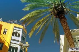 Beautiful Tgirl Natalie Mars sucks and fucks married du