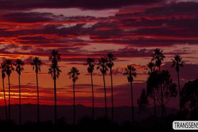 Tanned Tgirl Khloe Kay fucks her stepdad Colby