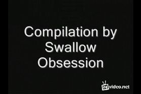 swallow 7