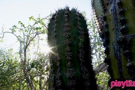 Exotic brown skinned teenie Angel Constance is here to 