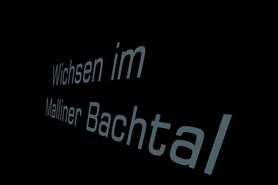 Wichsen im Malliner Bachtal