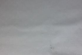 Granny panties masturbating