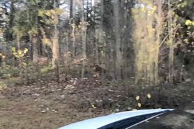 Ms Utopia Outdoor Sex