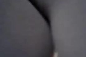 pata de camello in the bus 2