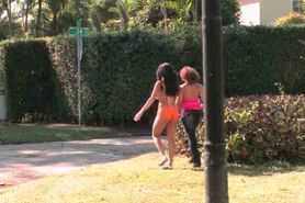 Crazy babes flashing round bottoms outdoor