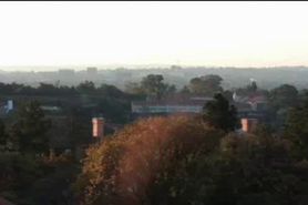 African slut giving blowjob to white tourist