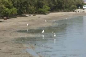 kutje vingeren voyeur