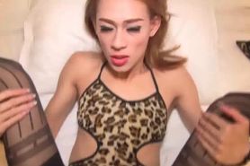 Sexy ladyboy enjoys anal sex