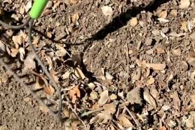 The summer is so nice between me and my new buddy Jake 