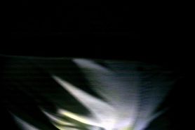 night hike desperation pee