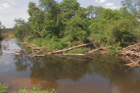 Beta Banged by the Lake