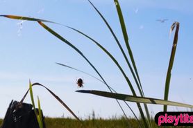 Beautiful French teen chick outdoor striptease session